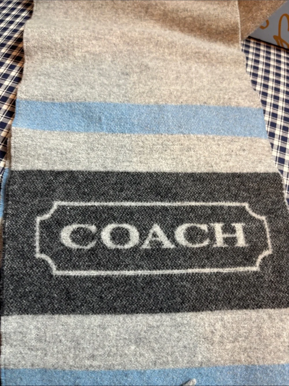 Coach Striped Wool cashmereBlend Scarf in Gray, Blue and Black